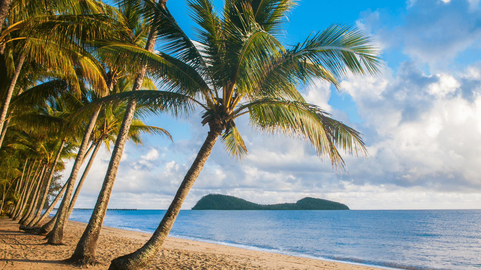 Q Academy Cairns Study Massage Courses On-Campus Queensland