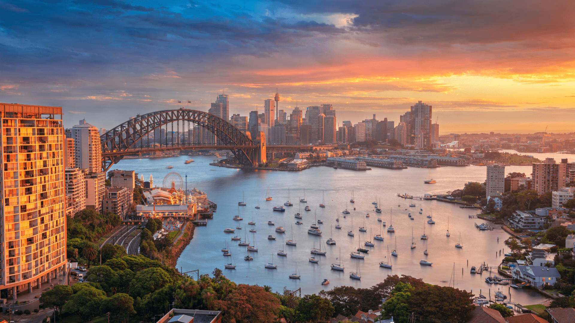 Sydney NetQ Training Clinics